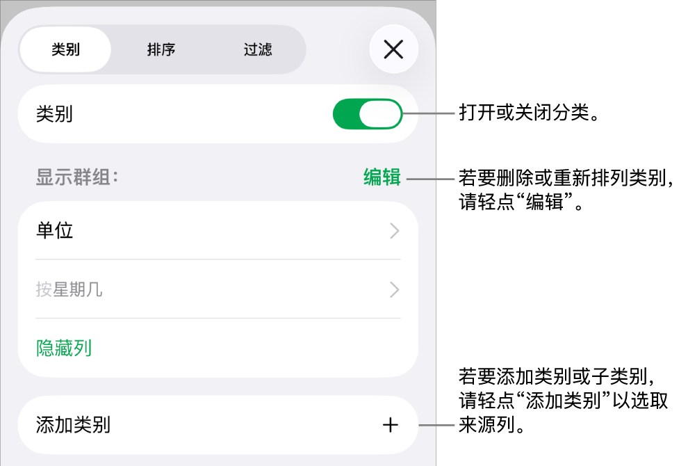 iPhone 上的“类别”菜单带有以下选项:关闭类别、删除类别、重新成组数据、隐藏来源列和添加类别。