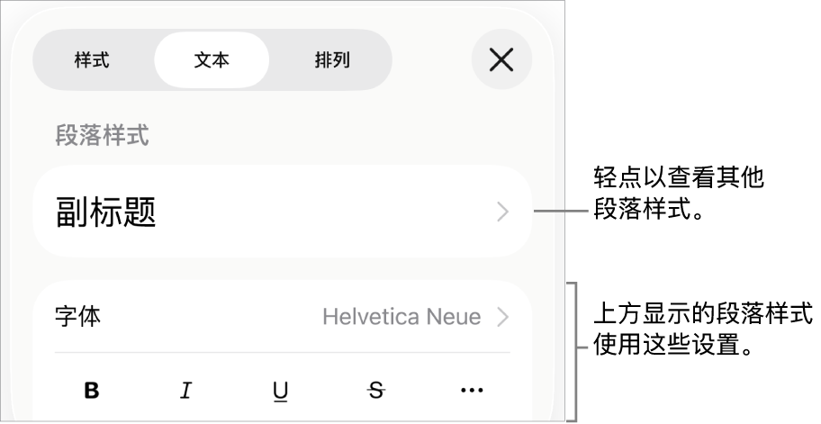 显示文本控制的“格式”菜单,用于设定段落和字符样式、字体、大小和颜色。