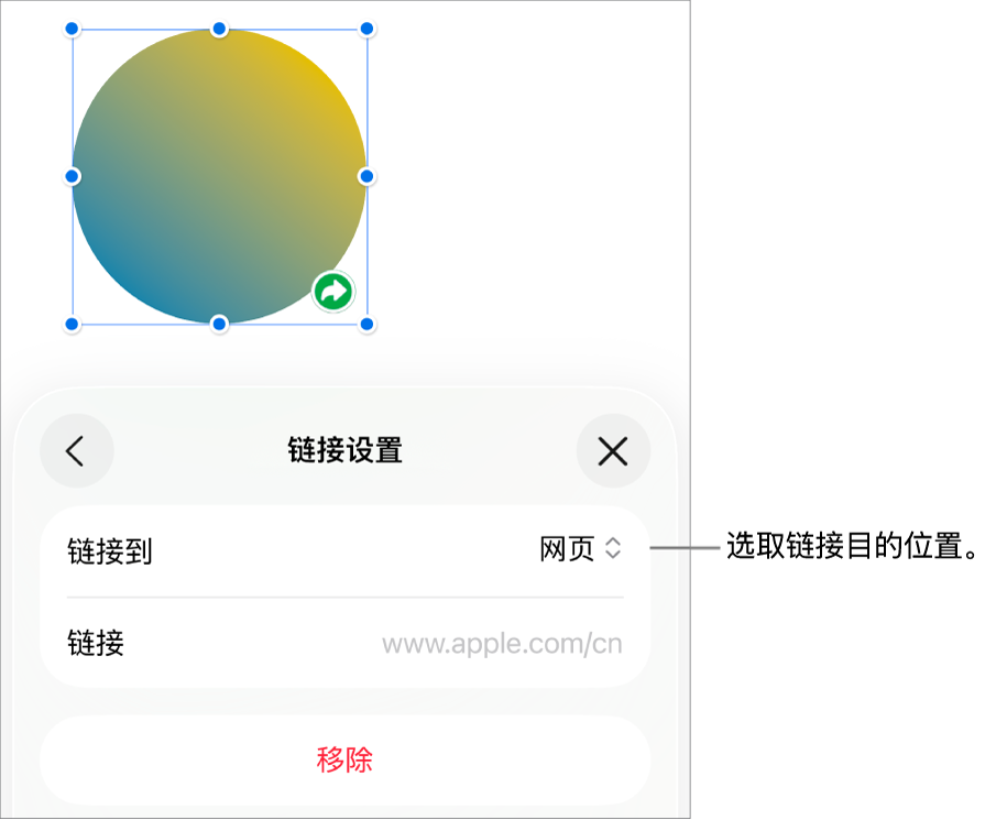 “链接设置”控制,“网页”已选中,“移除”按钮位于底部。