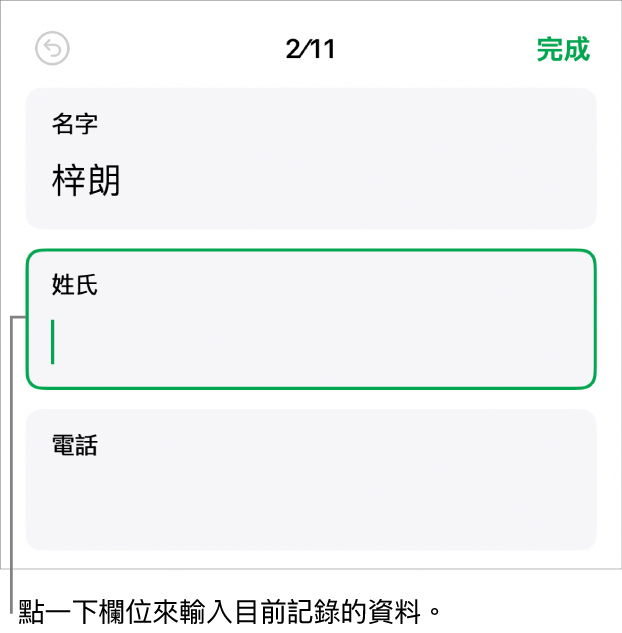 表單中的記錄,顯示一個包含插入點的活躍欄位。