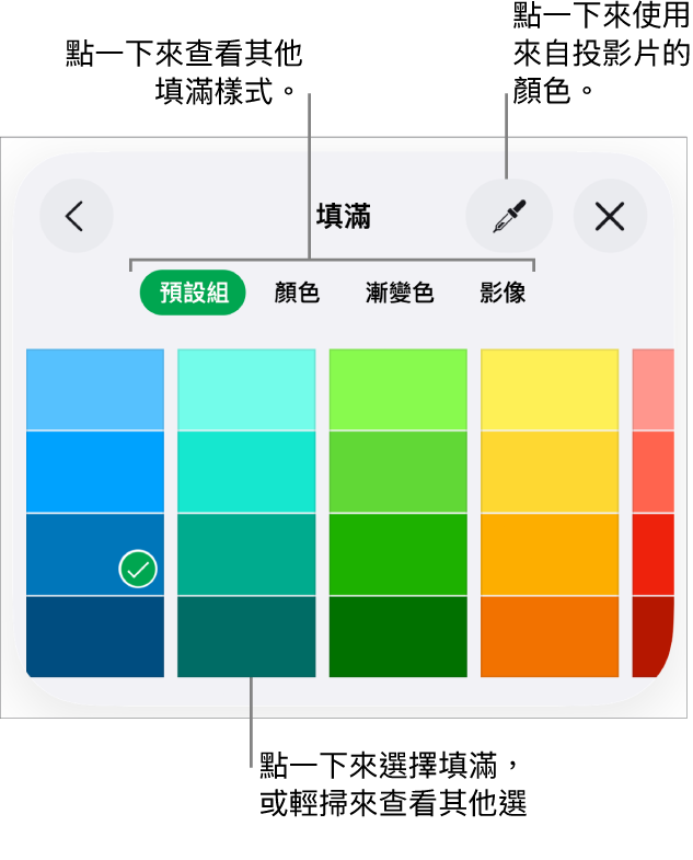 「格式」按鈕其「樣式」分頁中的填滿選項。