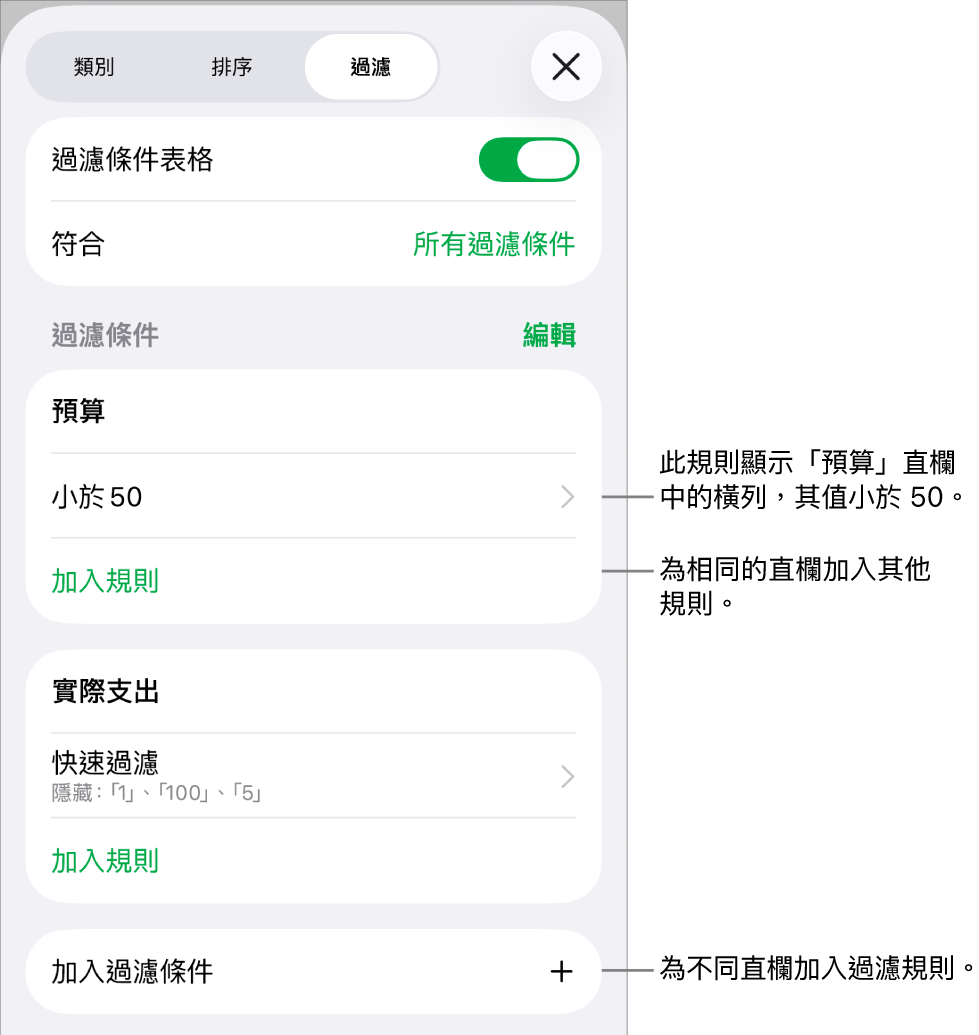 控制項目，用於加入新過濾規則或編輯現有過濾規則。