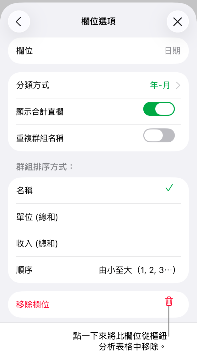 「欄位選項」選單，其顯示群組和排序資料的控制項目，以及移除欄位的選項。