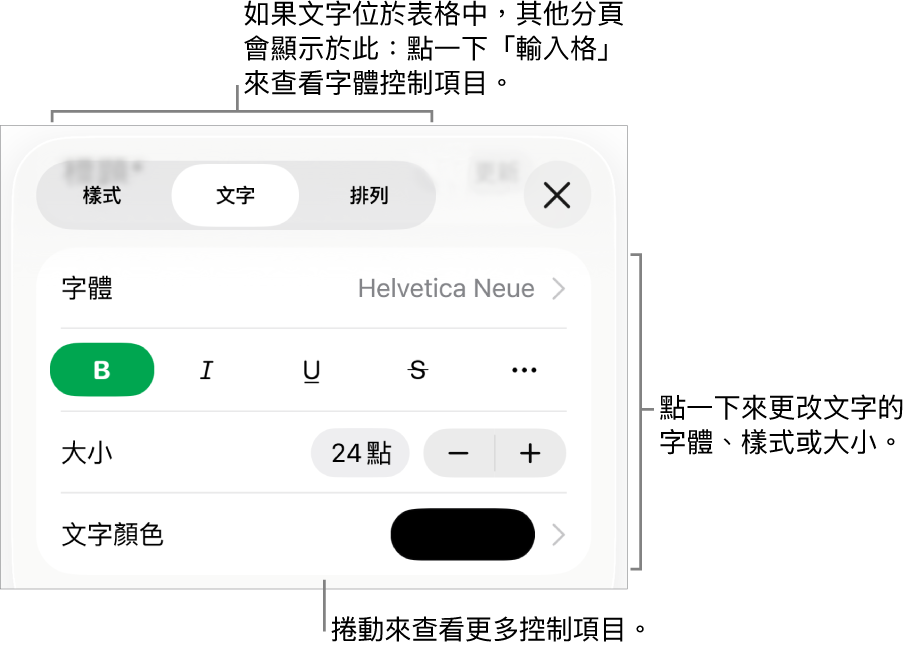 「格式」選單中設定段落及字元樣式、字體、大小和顏色的文字控制項目。