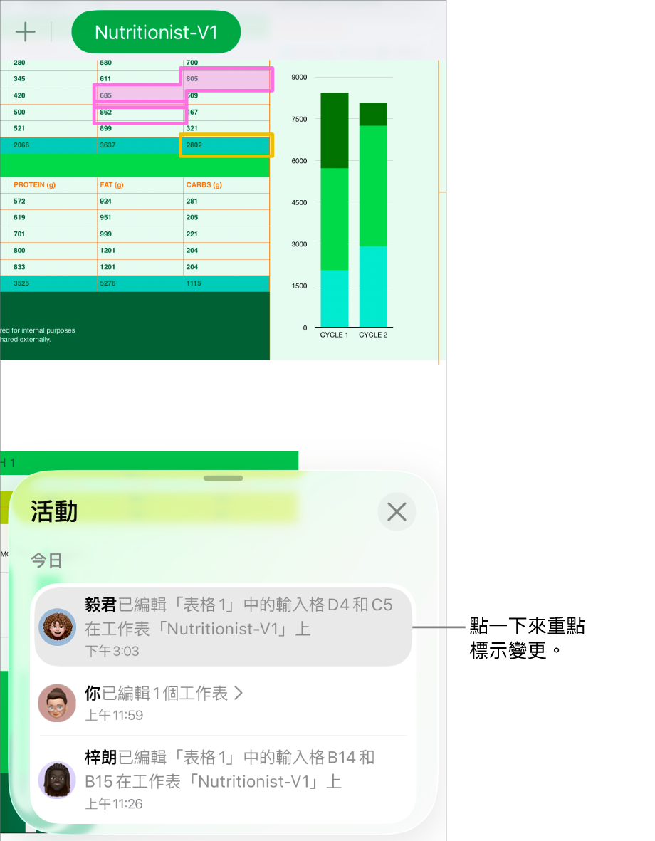 共同編輯試算表,其中共同編輯選單和活動列表都已開啟。