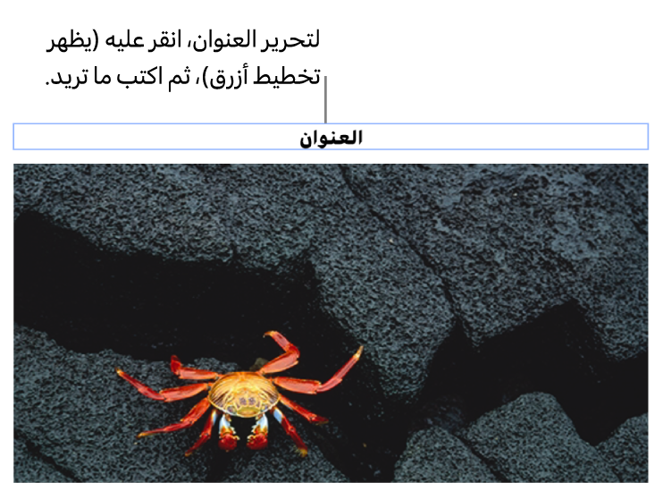 يظهر عنوان العنصر النائب، "العنوان"، أسفل صورة؛ يوضح تخطيط أزرق حول حقل العنوان أنه محدد.