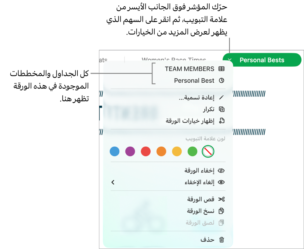 شريط علامات التبويب لتعديل وإخفاء الأوراق.