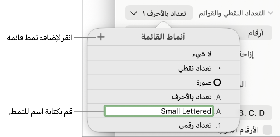 القائمة المنبثقة أنماط القائمة بها زر إضافة في الزاوية العلوية اليسرى واسم نمط عنصر نائب نصه محدد.