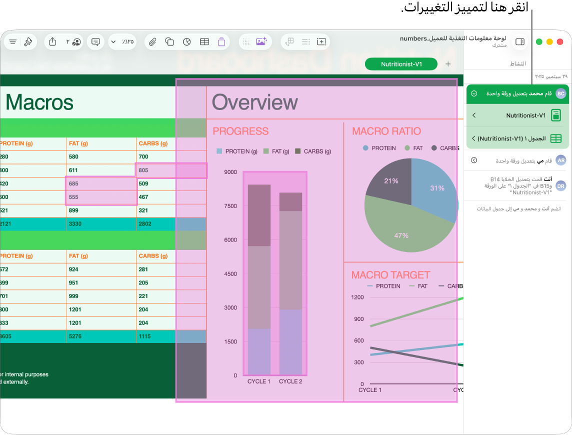 جدول بيانات تعاوني مفتوح عليه كل من قائمة التعاون وقائمة الأنشطة.