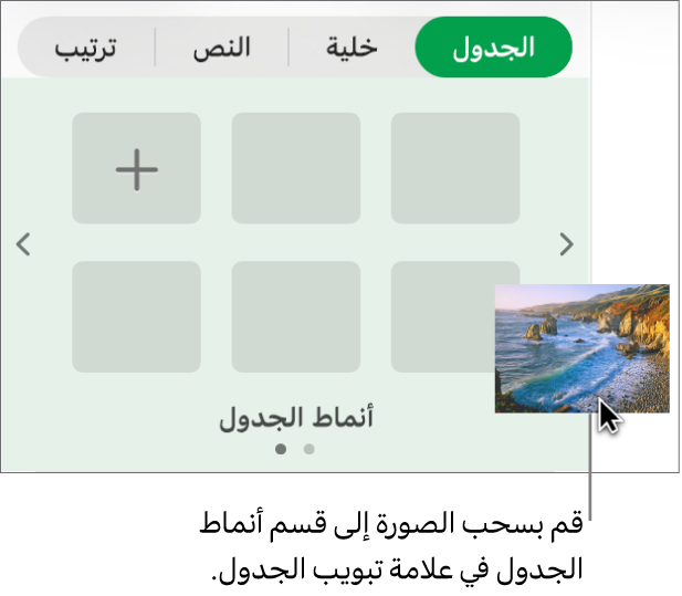 سحب صورة إلى أنماط الجدول لإنشاء نمط جديد.