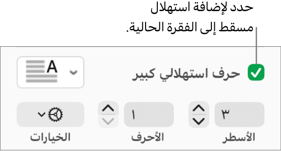 خانة اختيار الحرف الاستهلالي الكبير محددة، وتظهر قائمة منبثقة على يسارها؛ تظهر عناصر التحكم لإعداد ارتفاع السطر وعدد الأحرف والخيارات الأخرى أسفلها.