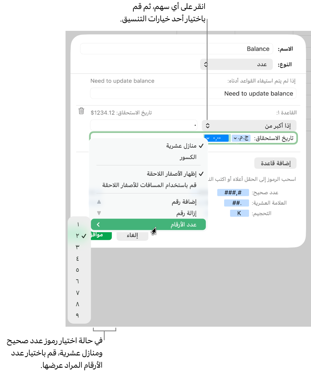 نافذة تنسيق خلية مخصصة مع عناصر التحكم لاختيار خيارات التنسيق المخصص.