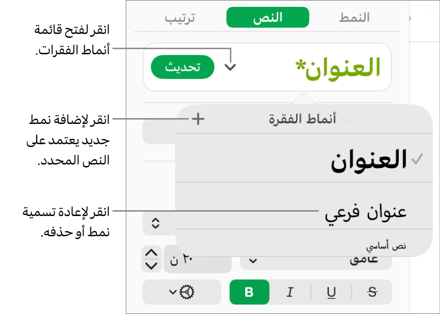 قائمة أنماط الفقرة، تظهر بها عناصر تحكم لإضافة نمط أو تغييره.