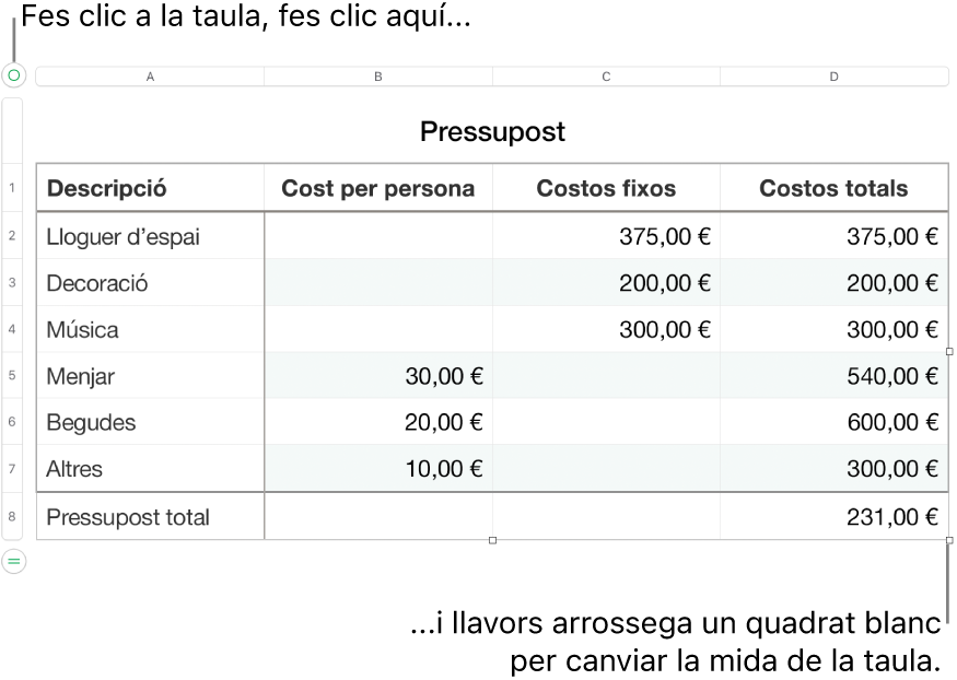 Una taula seleccionada, amb quadres blancs per canviar‑ne la mida.