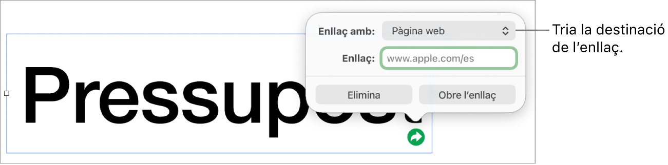 Controls de l’editor d’enllaços amb l’opció “Pàgina web” seleccionada i els botons “Elimina” i “Obre l’enllaç” situats a la part inferior.