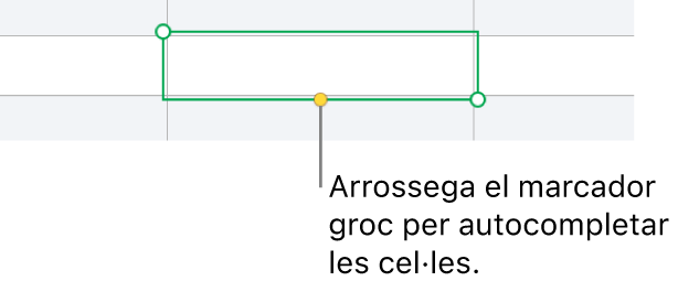 Una cel·la seleccionada amb un marcador groc que pots arrossegar per autocompletar cel·les.
