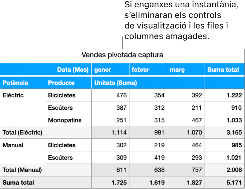 Instantània d’una taula dinàmica.