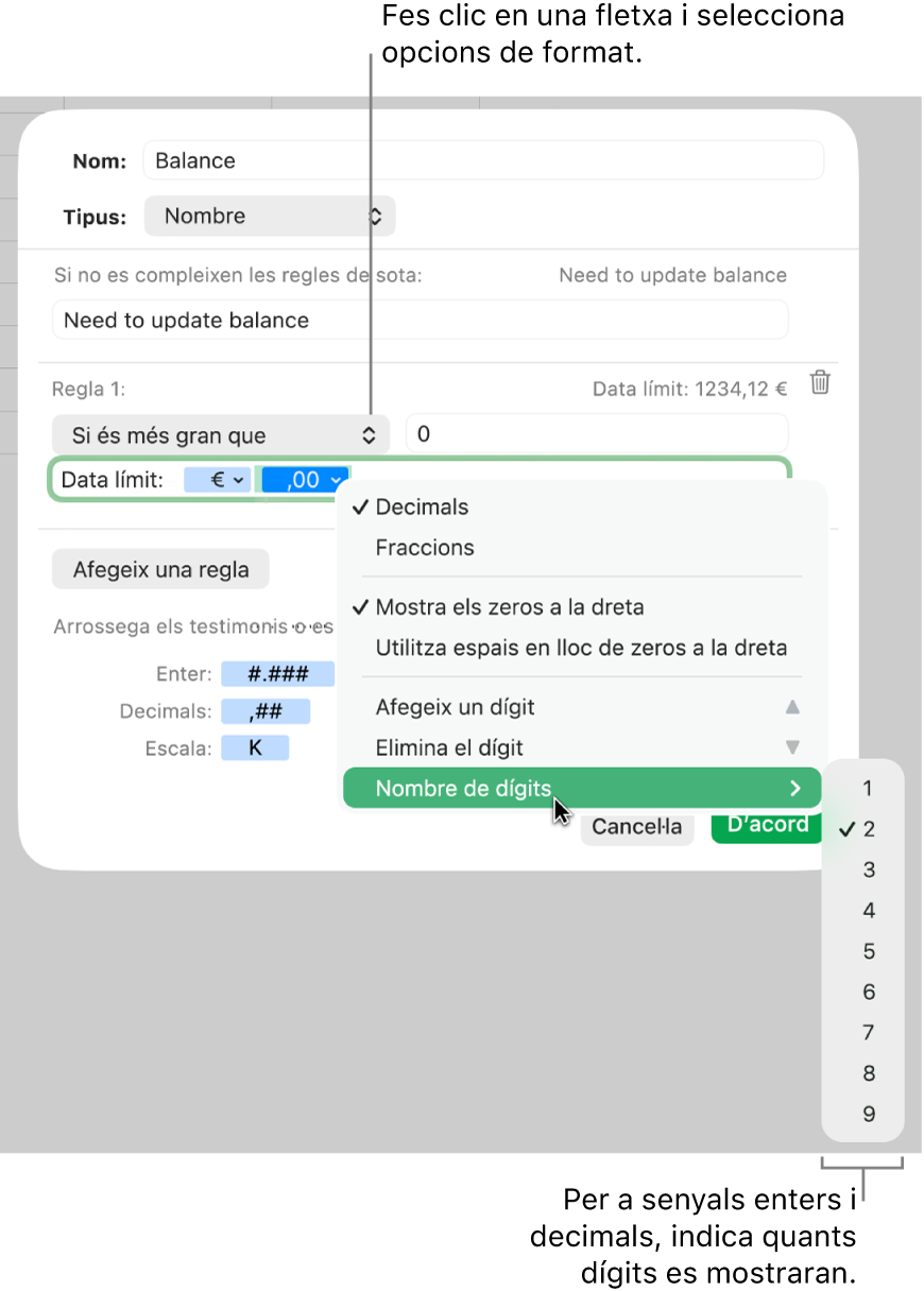 La finestra de format de cel·la personalitzat, amb controls per seleccionar les opcions de format personalitzat.