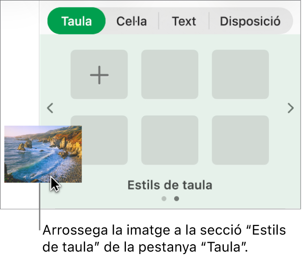 Arrossegar una imatge als estils de taula per crear un nou estil.