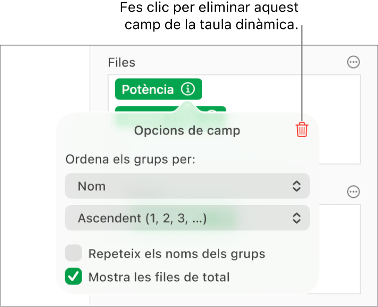 El menú “Opcions de camp”, que mostra els controls per agrupar i ordenar dades, a més de l’opció per eliminar un camp.