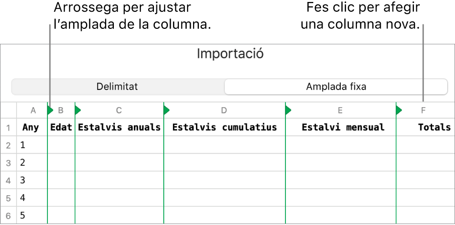 Els paràmetres d’importació d’un arxiu de text d’amplada fixa.