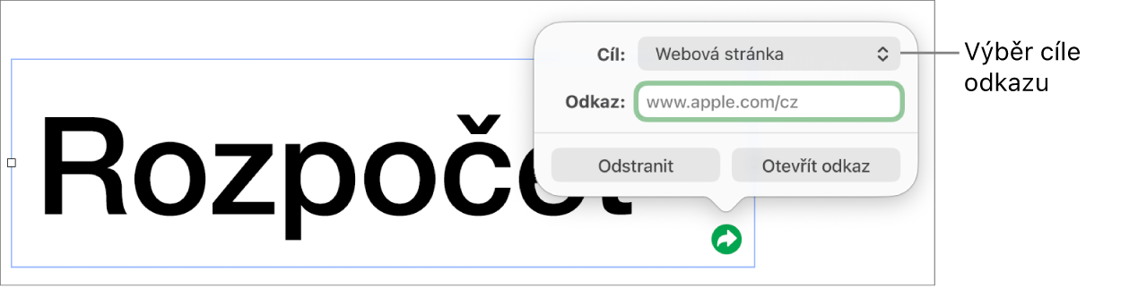 Ovládací prvky editoru odkazů s vybranou volbou Webová stránka a tlačítky Odstranit a Otevřít odkaz v dolní části.