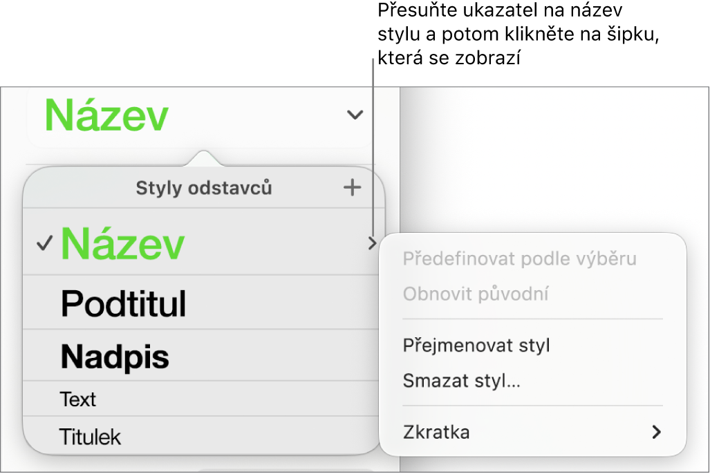 Nabídka Styly odstavců s otevřenou nabídkou zkratek.