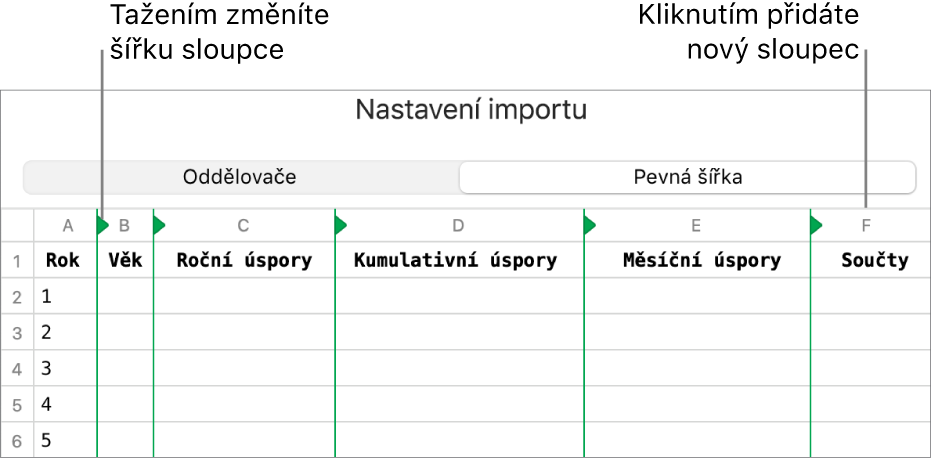 Nastavení importu pro text s pevnou šířkou.