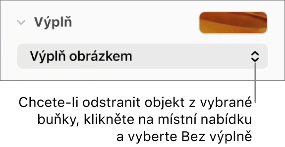 Ovládací prvek pro odstranění objektu z vybrané buňky