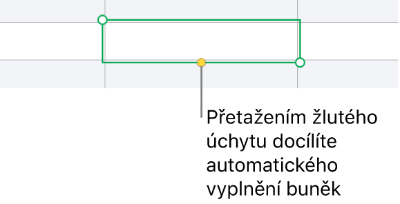 Vybraná buňka se žlutým úchytem, jehož tažením můžete automaticky vyplnit další buňky