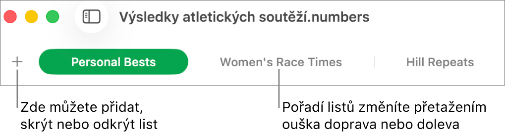 Panel se štítky listů, umožňující přidat nový list a změnit uspořádání listů