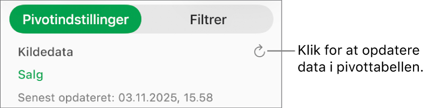 Fanen Pivotindstillinger, der viser muligheden for opdatering af pivottabellen.