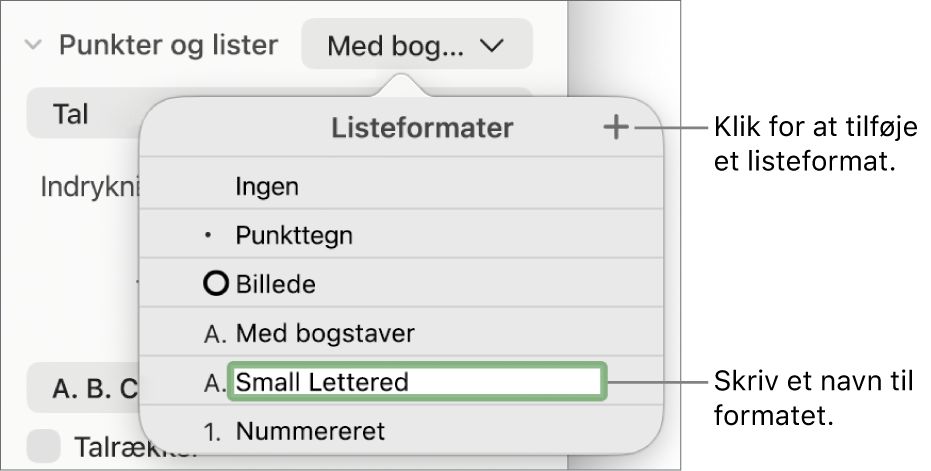 Lokalmenuen Listeformater med knappen Tilføj i øverste højre hjørne og et eksempel på et formatnavn med teksten valgt.