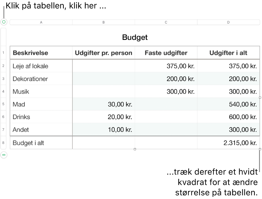 En valgt tabel med hvide kvadrater til ændring af størrelse.
