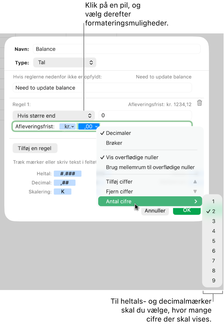 Vinduet til specielle celleformater med betjeningsmuligheder til valg af specielle formateringsmuligheder.