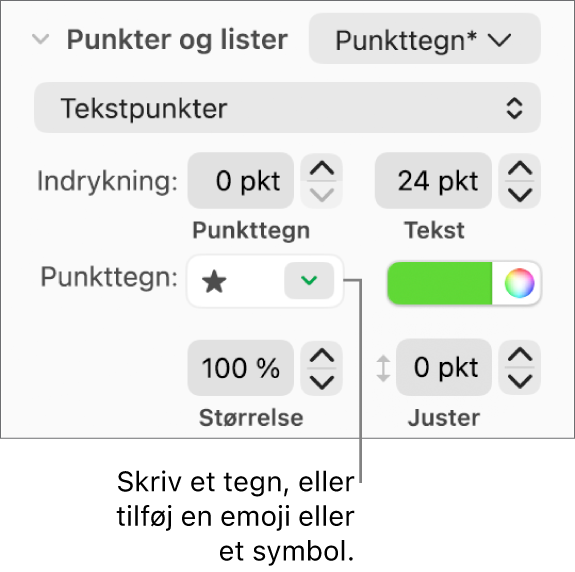 Sektionen Punkter & lister i indholdsoversigten Format. I feltet Punkttegn vises en stjerne-emoji.