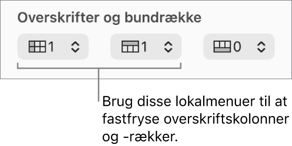 Lokalmenuer, der bruges til at tilføje eller fastfryse overskriftsrækker og bundrækker i en tabel.