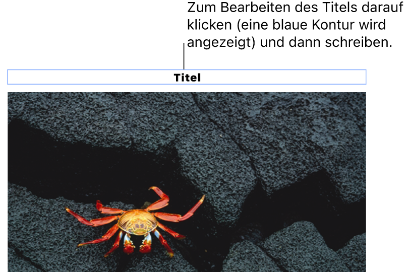 Der Platzhaltertitel „Titel“ erscheint unter einem Foto, ein blauer Rahmen um das Titelfeld gibt an, dass es ausgewählt ist.
