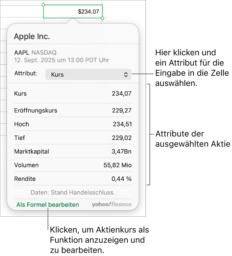 Das Dialogfenster zum Eingeben von Informationen zu Aktienattributen, in dem „Apple“ die ausgewählte Aktie ist.