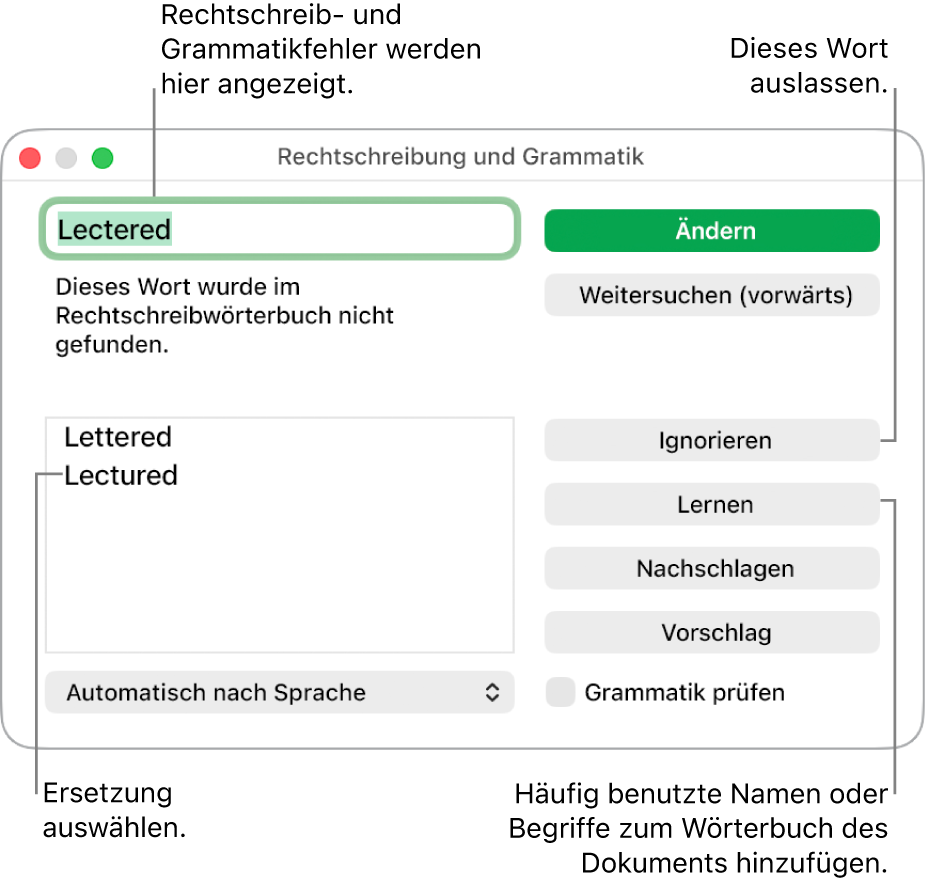 Das Fenster „Rechtschreibung und Grammatik“