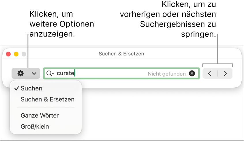 Das Fenster „Suchen & Ersetzen“ mit dem Einblendmenü, in dem Optionen zum Suchen, Suchen und Ersetzen, Suchen ganzer Wörter und Suchen unter Berücksichtigung der Groß-/Kleinschreibung zu sehen sind. Mit den Pfeilen auf der rechten Seite kann zu den vorherigen bzw. nächsten Suchergebnissen gesprungen werden.