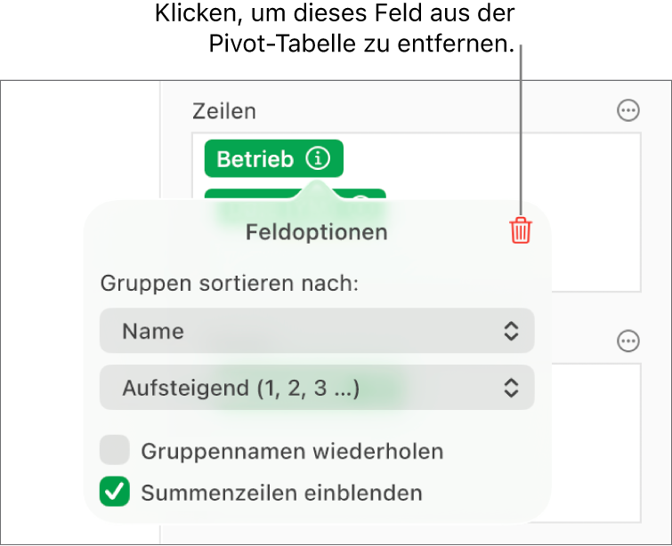 Das Menü „Feldoptionen“ mit Steuerelementen zum Gruppieren und Sortieren von Daten sowie einer Option zum Entfernen eines Feldes.