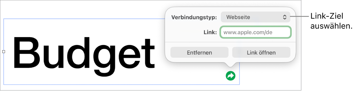 Die Steuerelemente des Linkeditors mit ausgewählter Webseite und den Tasten „Entfernen“ und „Link öffnen“ unten.