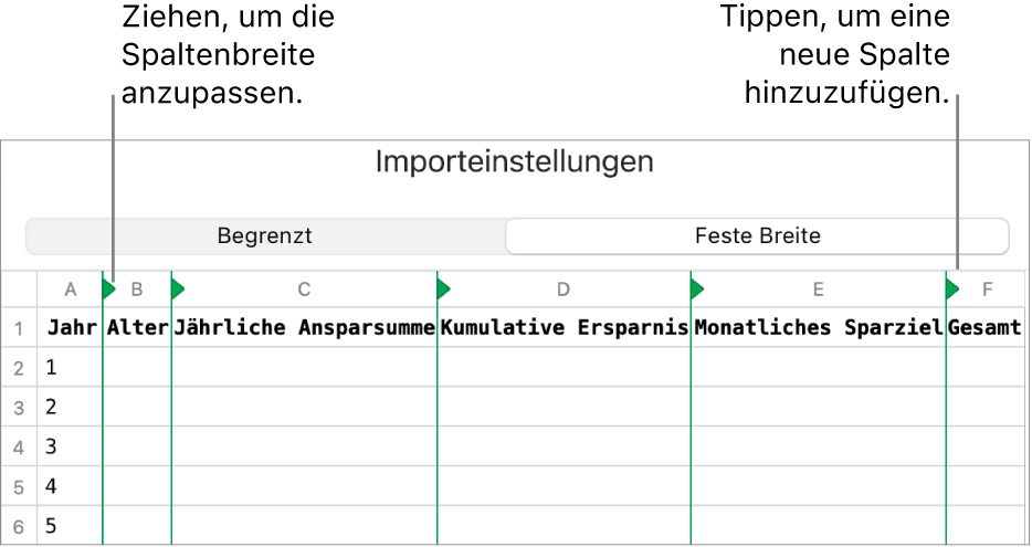 Die Importeinstellungen für eine Textdatei mit fester Breite.