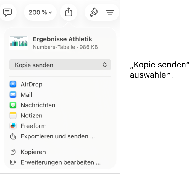 Das Menü „Teilen“, in dem „Kopie senden“ oben ausgewählt ist.