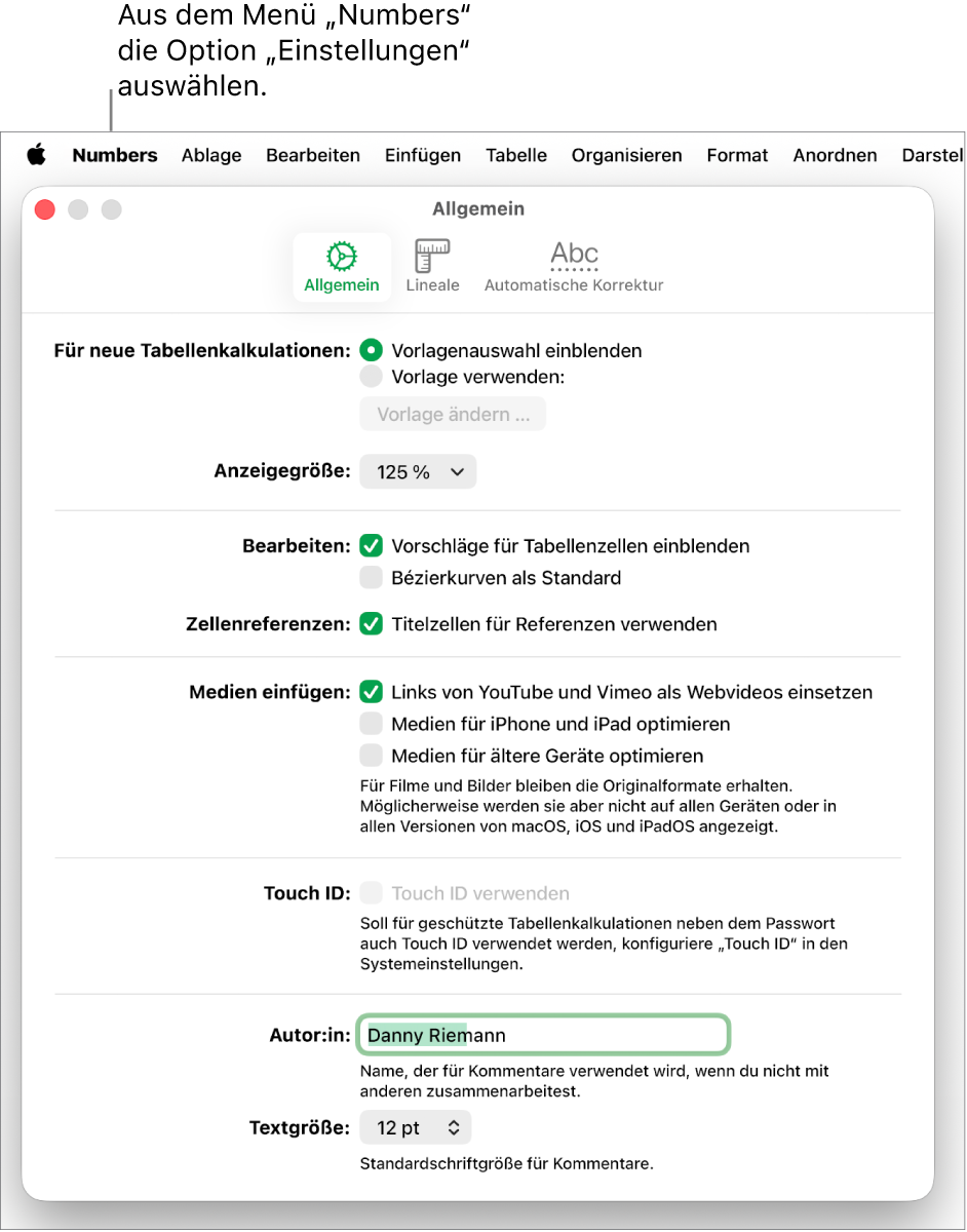 Der Bereich „Allgemein“ des Numbers-Einstellungsfensters mit den Einstellungen „Für neue Tabellenkalkulationen“, „Anzeigegröße“, „Bearbeiten“, „Zellenreferenzen“, „Gleichungen“, „Medien einfügen“, „Touch ID“, „Autor“ und „Textgröße“.