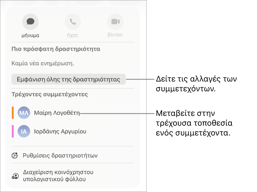Το μενού συνεργασίας με δύο τρέχοντες συμμετέχοντες.