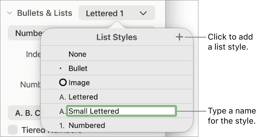 The List Styles pop-up menu with an Add button in the top-right corner and a placeholder style name with its text selected.
