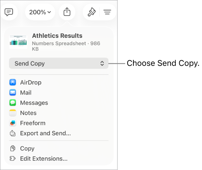 The Share menu with Send Copy selected at the top.