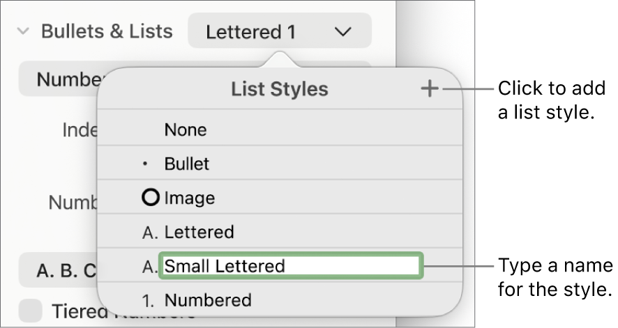 The List Styles pop-up menu with an Add button in the top-right corner and a placeholder style name with its text selected.